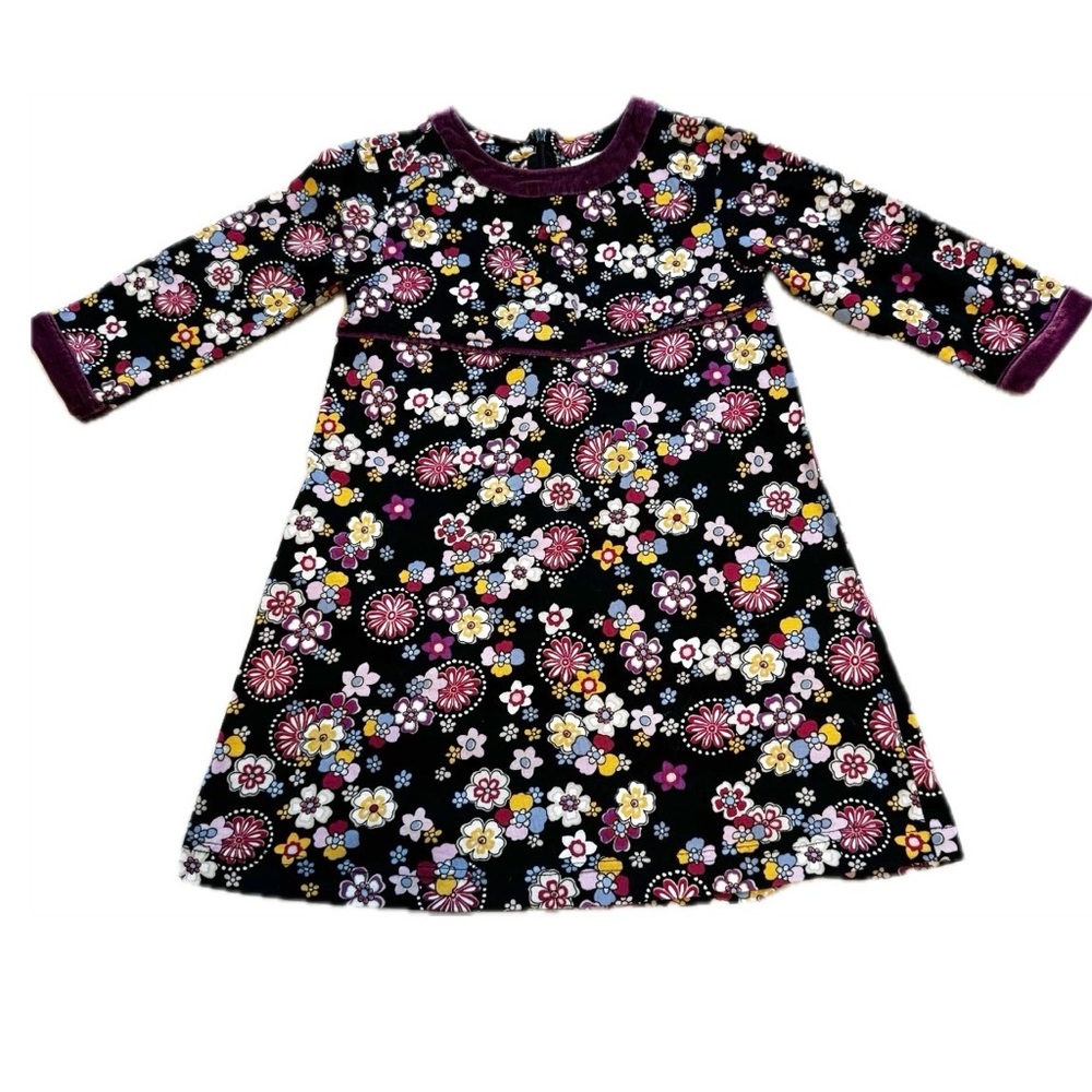 Hanna Andersson Purple and Black Floral Dress with Velvet Trim Size 90 (3T)